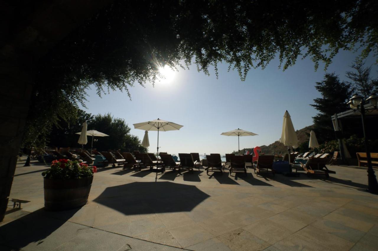 Terre Brune Hotel Mzaar Kfardebian Esterno foto