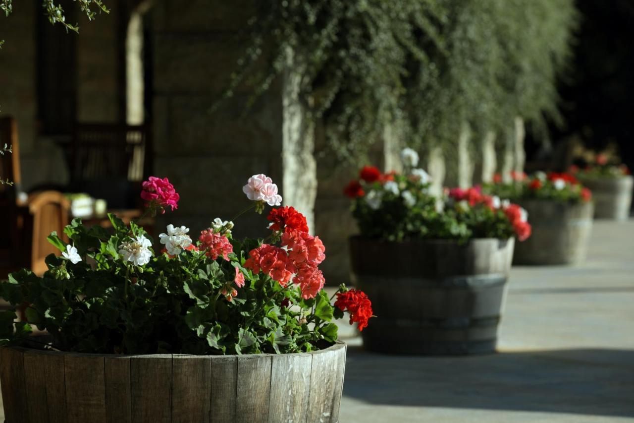 Terre Brune Hotel Mzaar Kfardebian Esterno foto